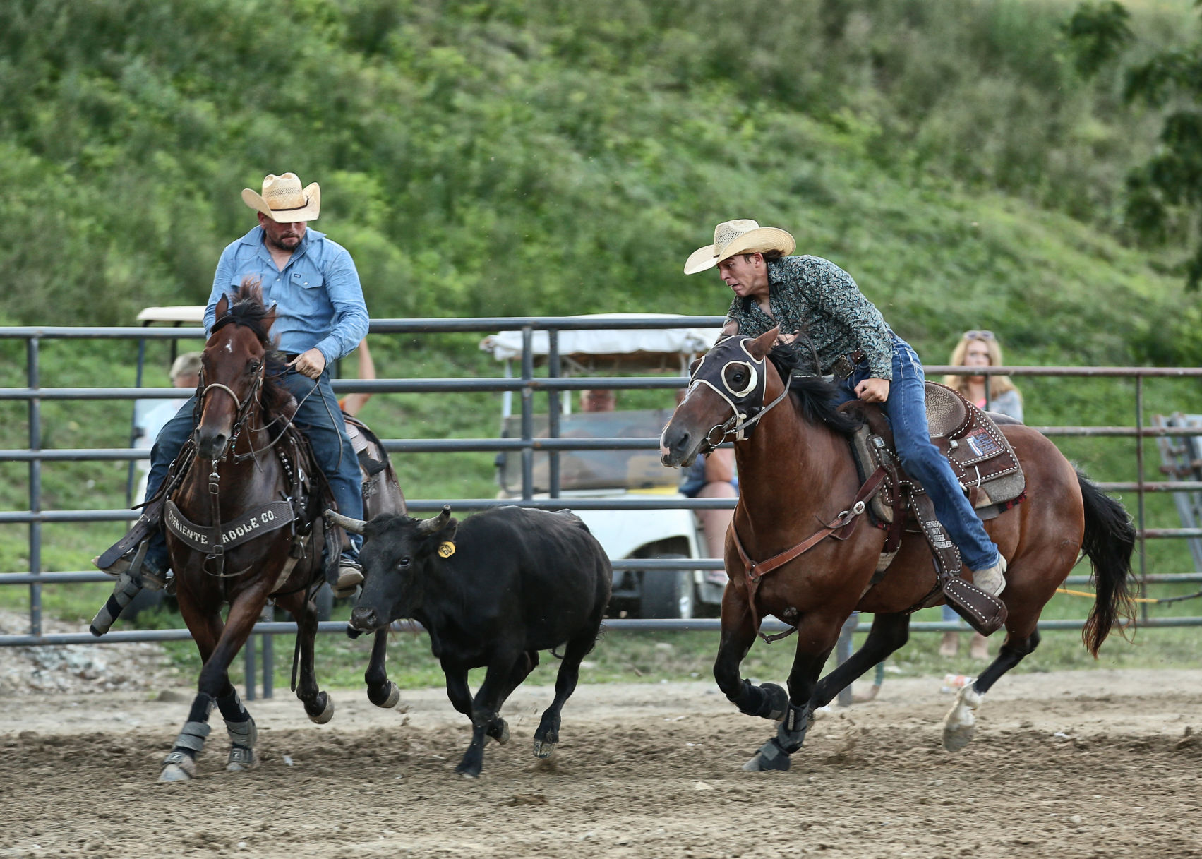 Steer wrestling